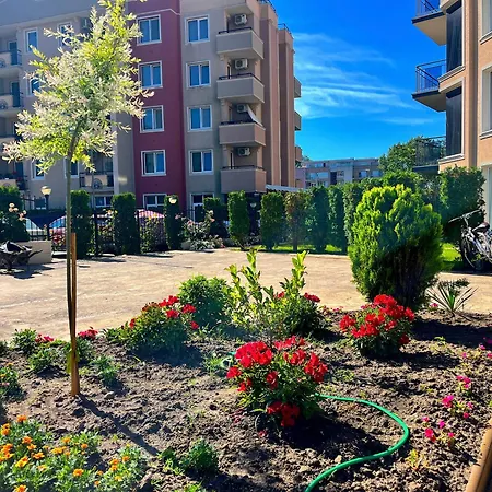 Vip Vision Lux * Slăntjev Brjag